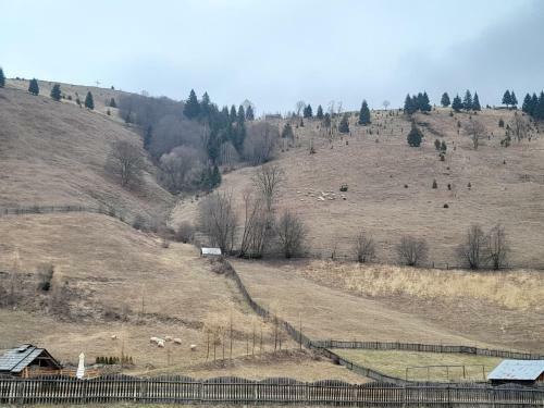 Casa Dumitru Si Elena