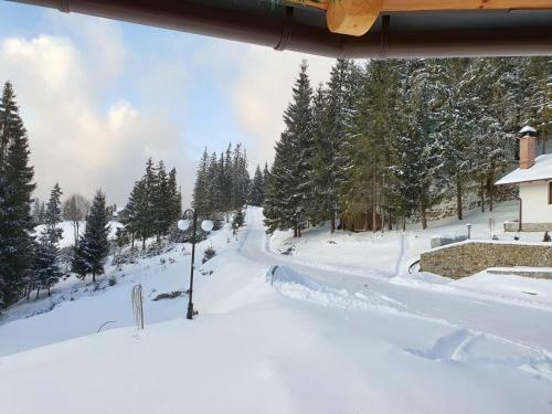 Hostal Casa Sofia Bucovina