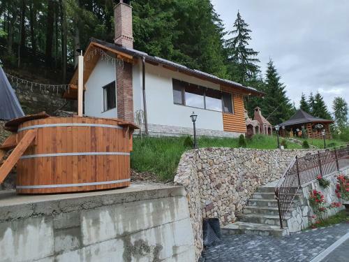 Hostal Casa Sofia Bucovina