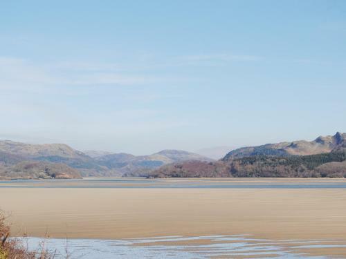 Cae-fadog Fach