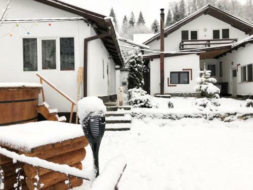 Lodge Cabana B�lea Fir Bridge