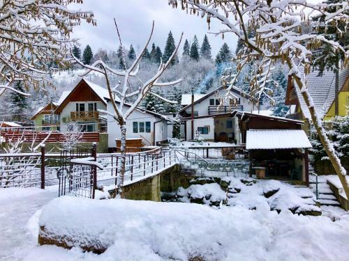 Lodge Cabana B�lea Fir Bridge