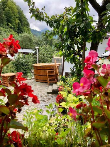 Lodge Cabana B�lea Fir Bridge