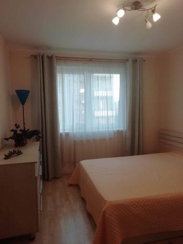 Apartament Comfortabil Si Linistit ,