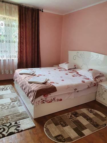Hostal Casa Bunicii
