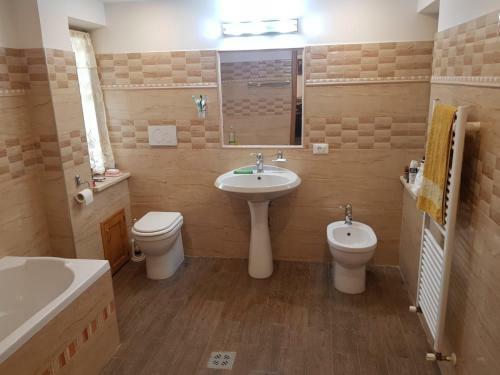 Hostal Vila Grecu
