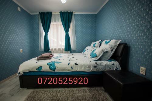 Hostal Cazare La Piatra Buhei