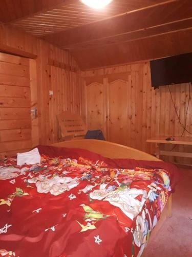 Cabana Aura Campulung Moldovenesc