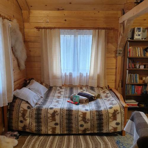 Cabana In Bucovina