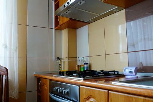 Classic Villa Bucovina