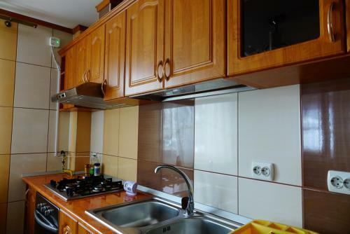 Classic Villa Bucovina
