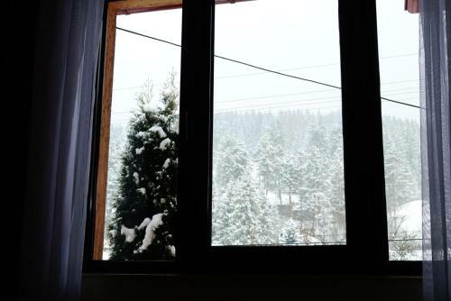 Classic Villa Bucovina