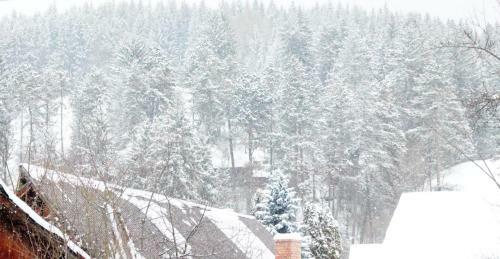 Classic Villa Bucovina