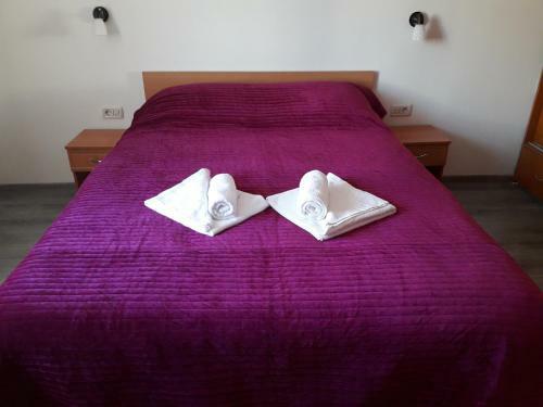 Apartamento Microapartament Campulung Moldovenesc