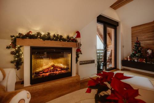 Wonderwood View Apartment