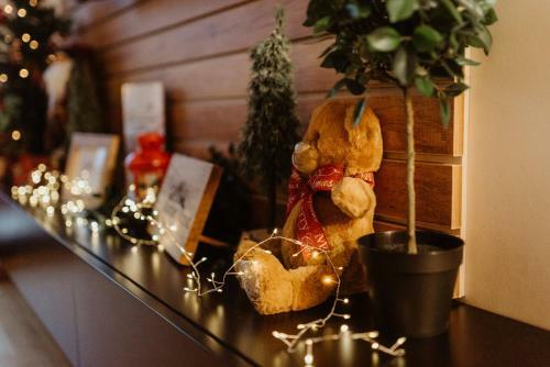 Wonderwood View Apartment