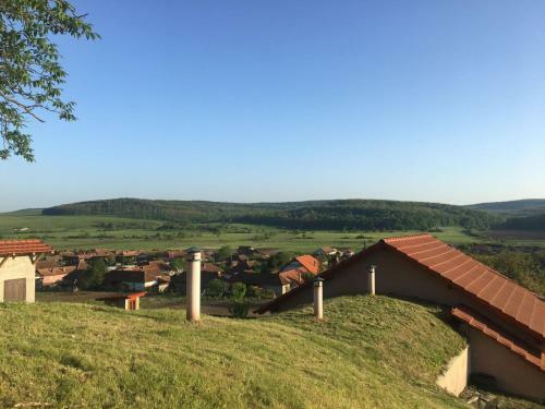 Agroturismo Pensiunea Bradet