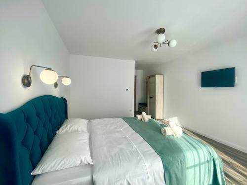 Villa Alpin House Colibita