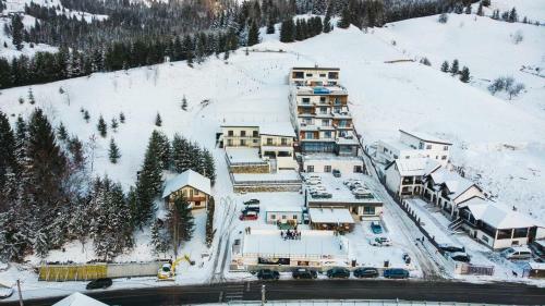 Villa Alpin House Colibita