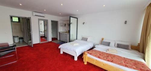 Apartamento Modern Rooms Colibita