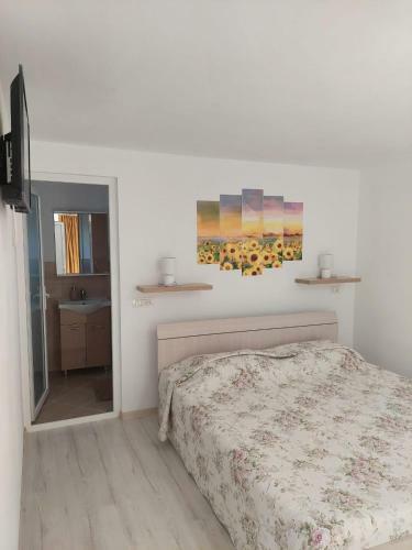 Hostal Pensiunea Antonia