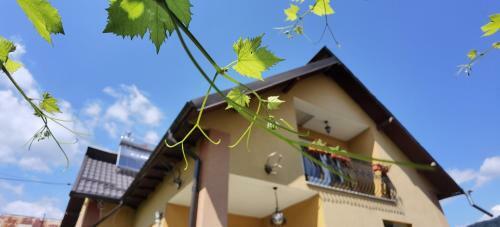 Hostal Casa Catalin Corbeni