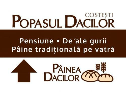 Hostal Pensiunea Popasul Dacilor