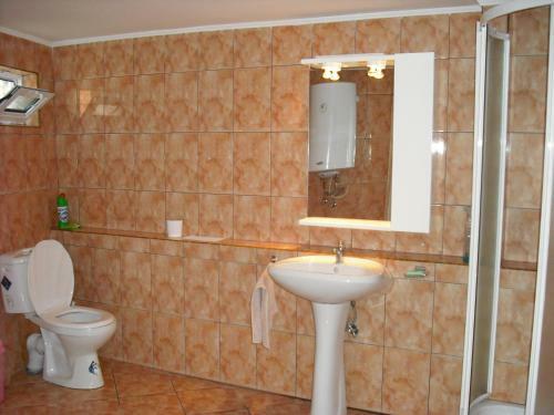 Hostal Pensiunea Popasul Dacilor