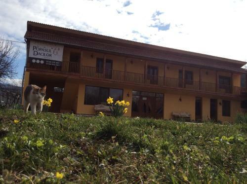 Hostal Pensiunea Popasul Dacilor
