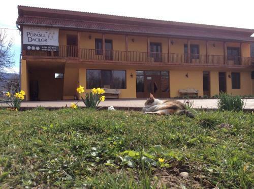 Hostal Pensiunea Popasul Dacilor