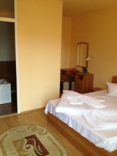 Hostal Pensiunea Popasul Dacilor