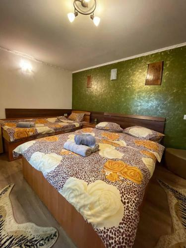 Hostal Popas Turistic Luoana