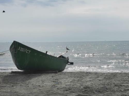 Mara Si Marea
