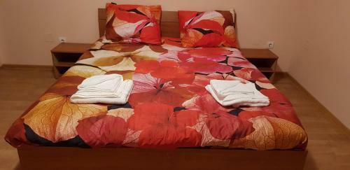 Hostal Casa Olandeza