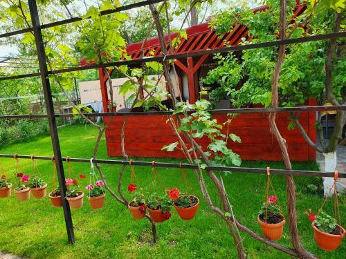 Hostal La Turturica