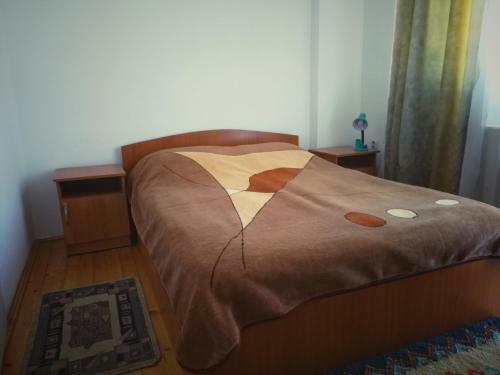 Hostal Pensiunea Apolka Panzi�