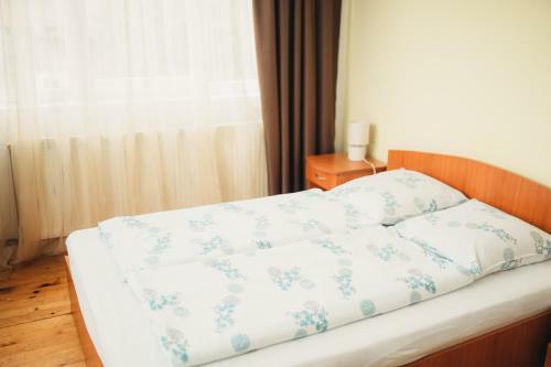 Hostal Pensiunea Apolka Panzi�