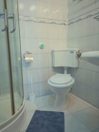 Hostal Pensiunea Apolka Panzi�