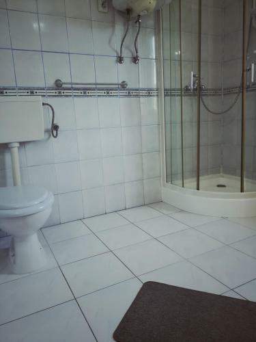Hostal Pensiunea Apolka Panzi�