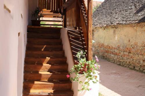 Hostal Casa de Vacanta Family & Friends