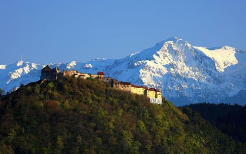 Apartament Crina