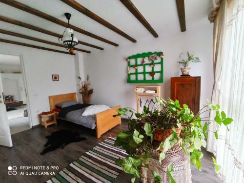 Hostal Casa Lucia