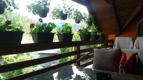 Hostal Casa Lucia