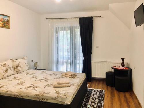 Hostal Pensiunea Bucur