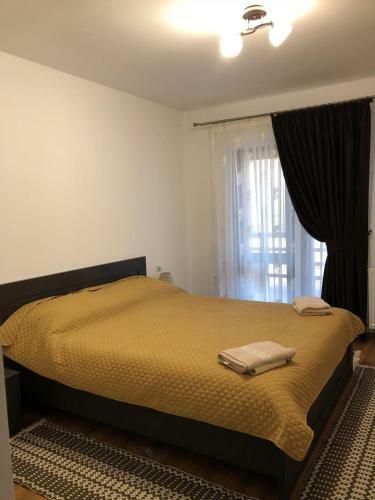 Hostal Pensiunea Bucur