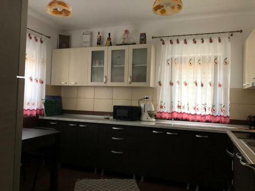 Hostal Pensiunea Bucur