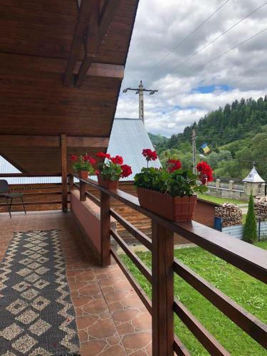 Hostal Pensiunea Bucur