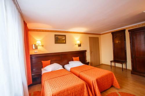 Hostal Domeniul Dracula Dane?