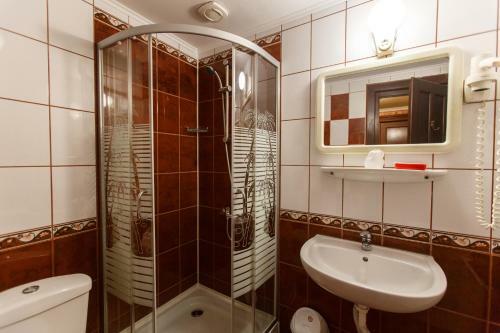 Hostal Domeniul Dracula Dane?