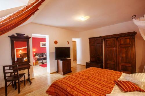 Hostal Domeniul Dracula Dane?